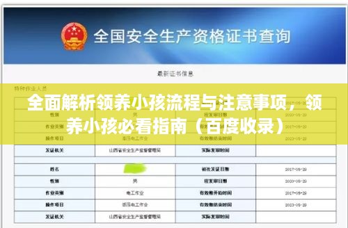全面解析領養(yǎng)小孩流程與注意事項，領養(yǎng)小孩必看指南（百度收錄）