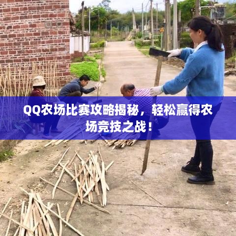 QQ農(nóng)場比賽攻略揭秘，輕松贏得農(nóng)場競技之戰(zhàn)！
