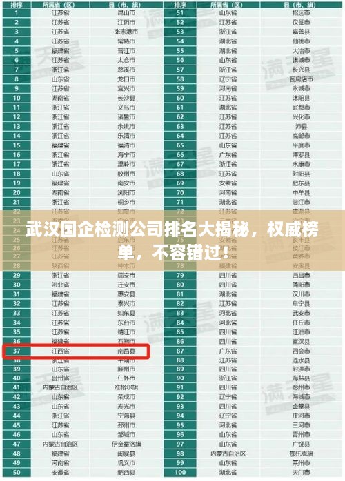 武漢國(guó)企檢測(cè)公司排名大揭秘，權(quán)威榜單，不容錯(cuò)過(guò)！