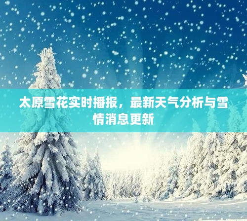太原雪花實時播報，最新天氣分析與雪情消息更新