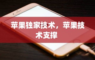 蘋(píng)果獨(dú)家技術(shù)，蘋(píng)果技術(shù)支撐 