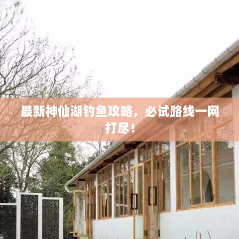 最新神仙湖釣魚攻略，必試路線一網(wǎng)打盡！