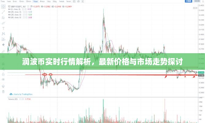 潤波幣實(shí)時(shí)行情解析，最新價(jià)格與市場走勢探討