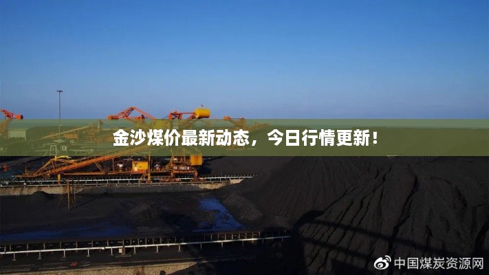 金沙煤價最新動態(tài)，今日行情更新！