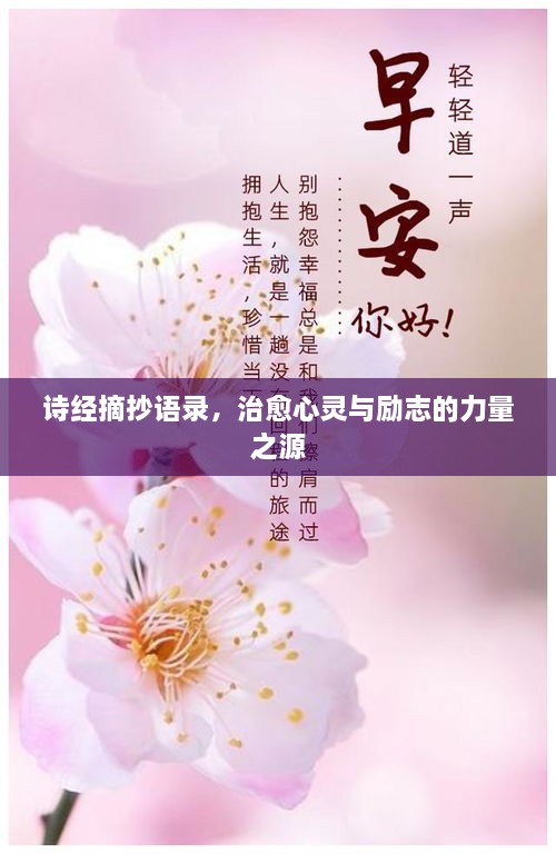 詩經(jīng)摘抄語錄，治愈心靈與勵志的力量之源