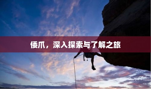 倭爪，深入探索與了解之旅