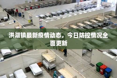 洪湖鎮(zhèn)最新疫情動態(tài)，今日防控情況全面更新