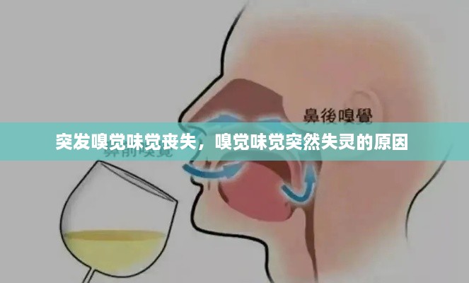 突發(fā)嗅覺味覺喪失，嗅覺味覺突然失靈的原因 