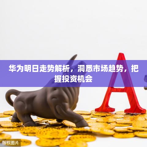 華為明日走勢(shì)解析，洞悉市場(chǎng)趨勢(shì)，把握投資機(jī)會(huì)