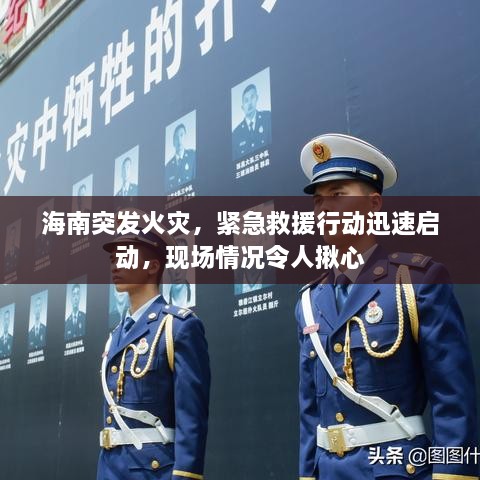 海南突發(fā)火災(zāi)，緊急救援行動(dòng)迅速啟動(dòng)，現(xiàn)場(chǎng)情況令人揪心