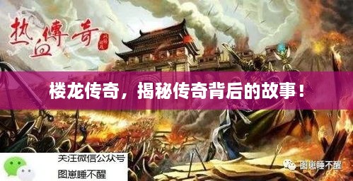 樓龍傳奇，揭秘傳奇背后的故事！