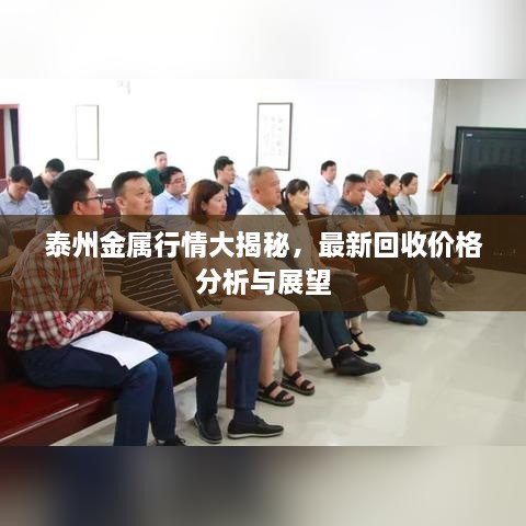 泰州金屬行情大揭秘，最新回收價(jià)格分析與展望