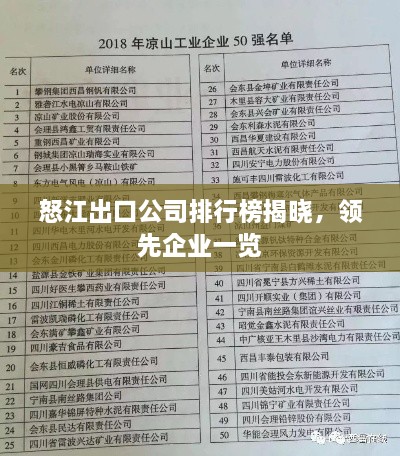 怒江出口公司排行榜揭曉，領(lǐng)先企業(yè)一覽