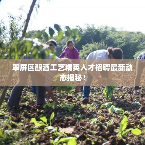 翠屏區(qū)釀酒工藝精英人才招聘最新動態(tài)揭秘！