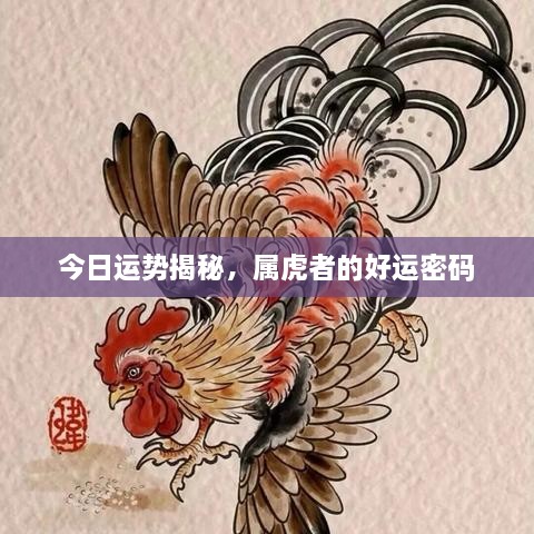 今日運(yùn)勢揭秘，屬虎者的好運(yùn)密碼