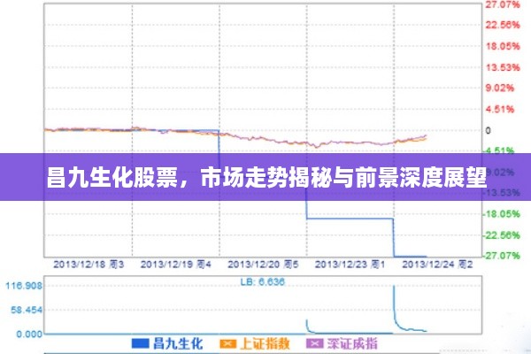 昌九生化股票，市場走勢揭秘與前景深度展望