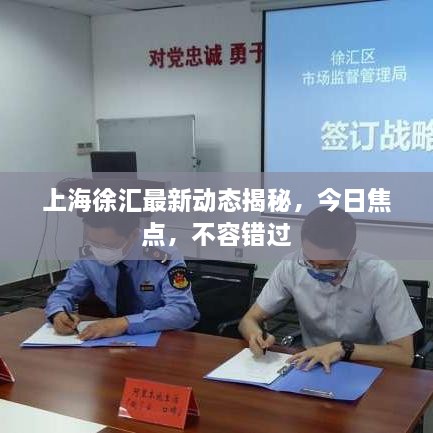 上海徐匯最新動態(tài)揭秘，今日焦點，不容錯過