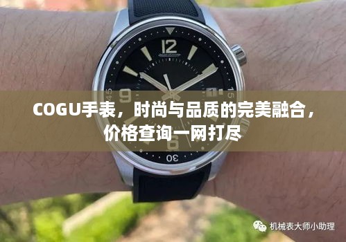 COGU手表，時(shí)尚與品質(zhì)的完美融合，價(jià)格查詢一網(wǎng)打盡
