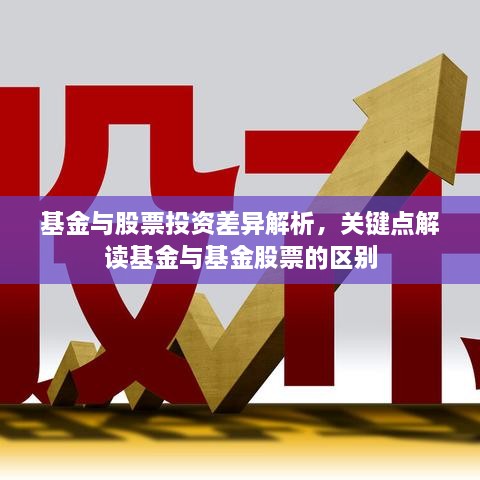 基金與股票投資差異解析，關(guān)鍵點(diǎn)解讀基金與基金股票的區(qū)別