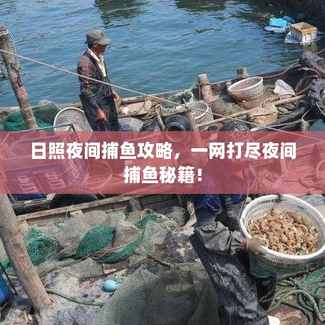 日照夜間捕魚攻略，一網(wǎng)打盡夜間捕魚秘籍！