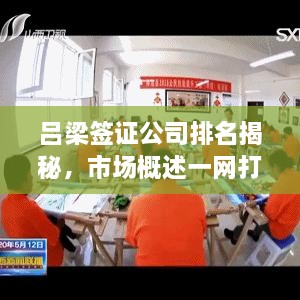 呂梁簽證公司排名揭秘，市場(chǎng)概述一網(wǎng)打盡