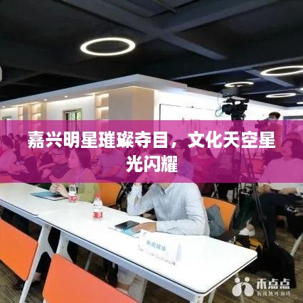 嘉興明星璀璨奪目，文化天空星光閃耀
