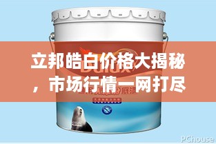 立邦皓白價格大揭秘，市場行情一網打盡