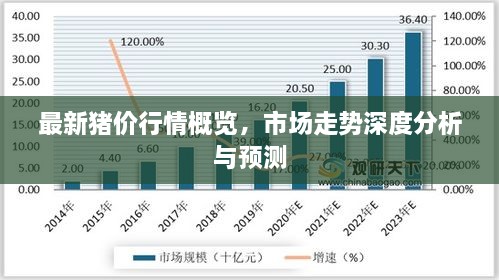 最新豬價(jià)行情概覽，市場(chǎng)走勢(shì)深度分析與預(yù)測(cè)