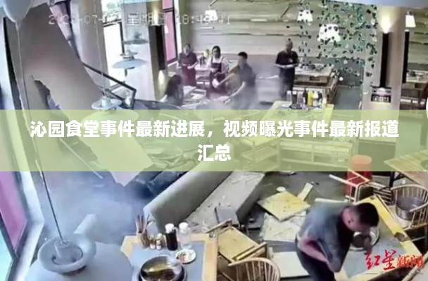 沁園食堂事件最新進(jìn)展，視頻曝光事件最新報道匯總