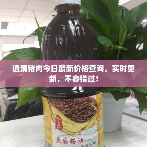 通渭豬肉今日最新價(jià)格查詢，實(shí)時(shí)更新，不容錯(cuò)過！
