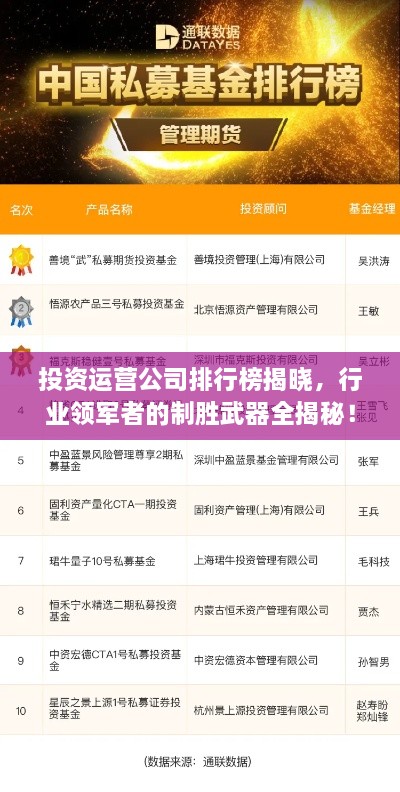 投資運(yùn)營公司排行榜揭曉，行業(yè)領(lǐng)軍者的制勝武器全揭秘！