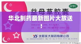 華北制藥最新圖片大放送！