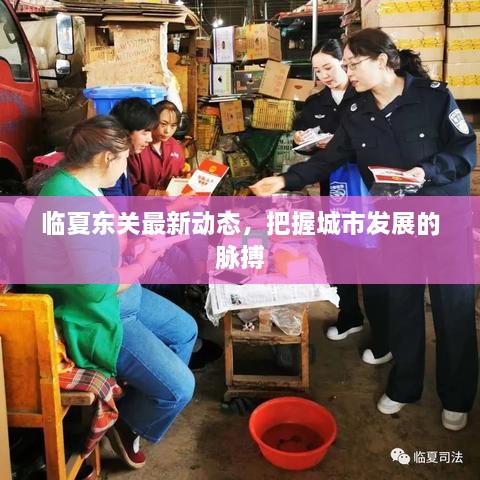 臨夏東關(guān)最新動態(tài)，把握城市發(fā)展的脈搏
