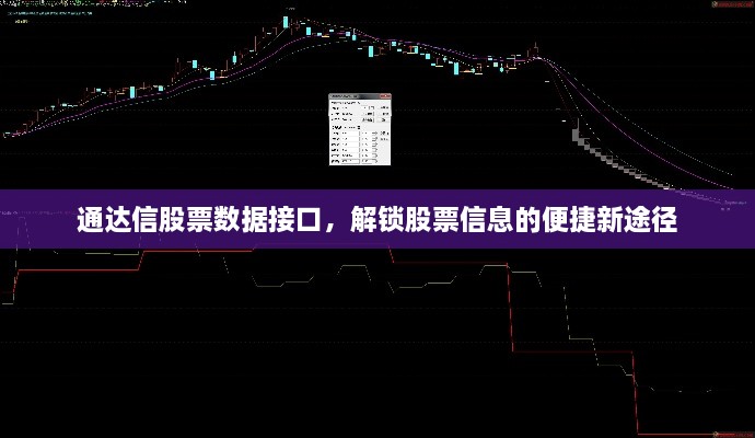 通達(dá)信股票數(shù)據(jù)接口，解鎖股票信息的便捷新途徑