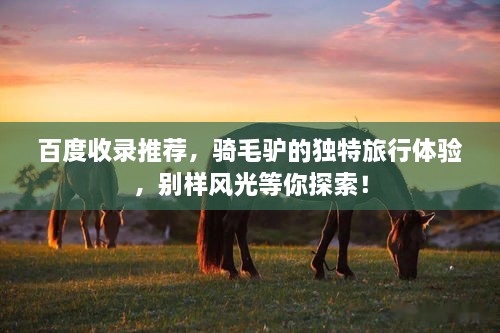 百度收錄推薦，騎毛驢的獨特旅行體驗，別樣風(fēng)光等你探索！
