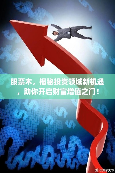 股票木，揭秘投資領(lǐng)域新機(jī)遇，助你開啟財(cái)富增值之門！