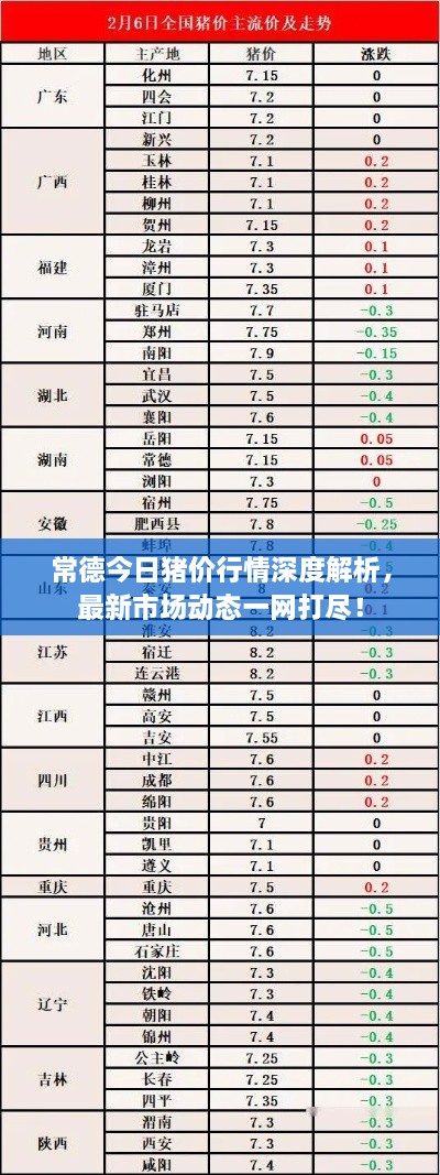 常德今日豬價(jià)行情深度解析，最新市場(chǎng)動(dòng)態(tài)一網(wǎng)打盡！