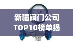 新疆閥門公司TOP10榜單揭曉，行業(yè)領(lǐng)軍者一覽無余