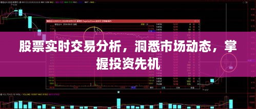 股票實時交易分析，洞悉市場動態(tài)，掌握投資先機(jī)