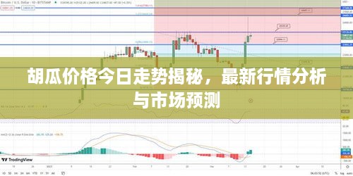 胡瓜價(jià)格今日走勢揭秘，最新行情分析與市場預(yù)測