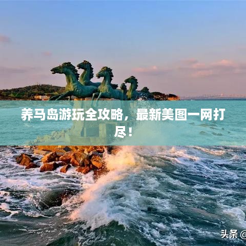 養(yǎng)馬島游玩全攻略，最新美圖一網(wǎng)打盡！