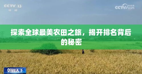 探索全球最美農(nóng)田之旅，揭開(kāi)排名背后的秘密