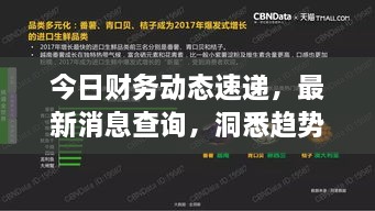今日財務(wù)動態(tài)速遞，最新消息查詢，洞悉趨勢，掌握財經(jīng)動態(tài)