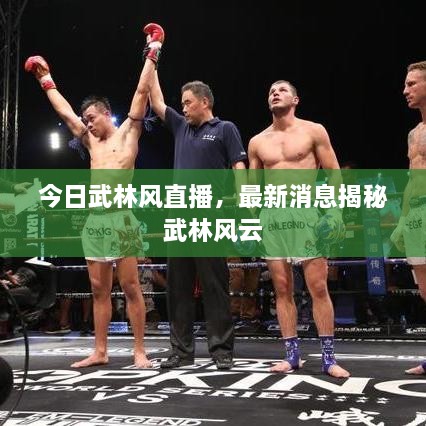 今日武林風(fēng)直播，最新消息揭秘武林風(fēng)云