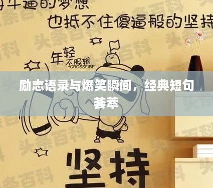 勵志語錄與爆笑瞬間，經(jīng)典短句薈萃
