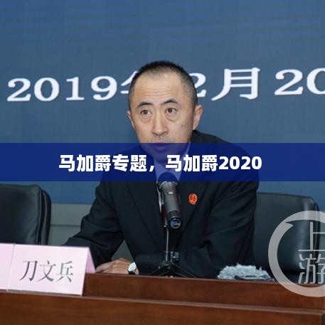 馬加爵專題，馬加爵2020 
