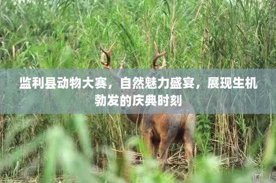 監(jiān)利縣動(dòng)物大賽，自然魅力盛宴，展現(xiàn)生機(jī)勃發(fā)的慶典時(shí)刻