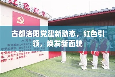 古都洛陽黨建新動態(tài)，紅色引領(lǐng)，煥發(fā)新面貌