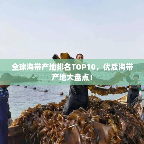 全球海帶產(chǎn)地排名TOP10，優(yōu)質(zhì)海帶產(chǎn)地大盤(pán)點(diǎn)！