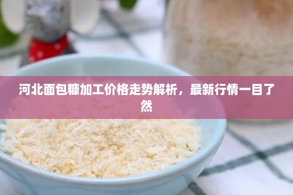 河北面包糠加工價(jià)格走勢(shì)解析，最新行情一目了然